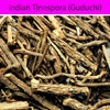Guduchi (Indian Tinospora) : Herbs - Mangalore Spice