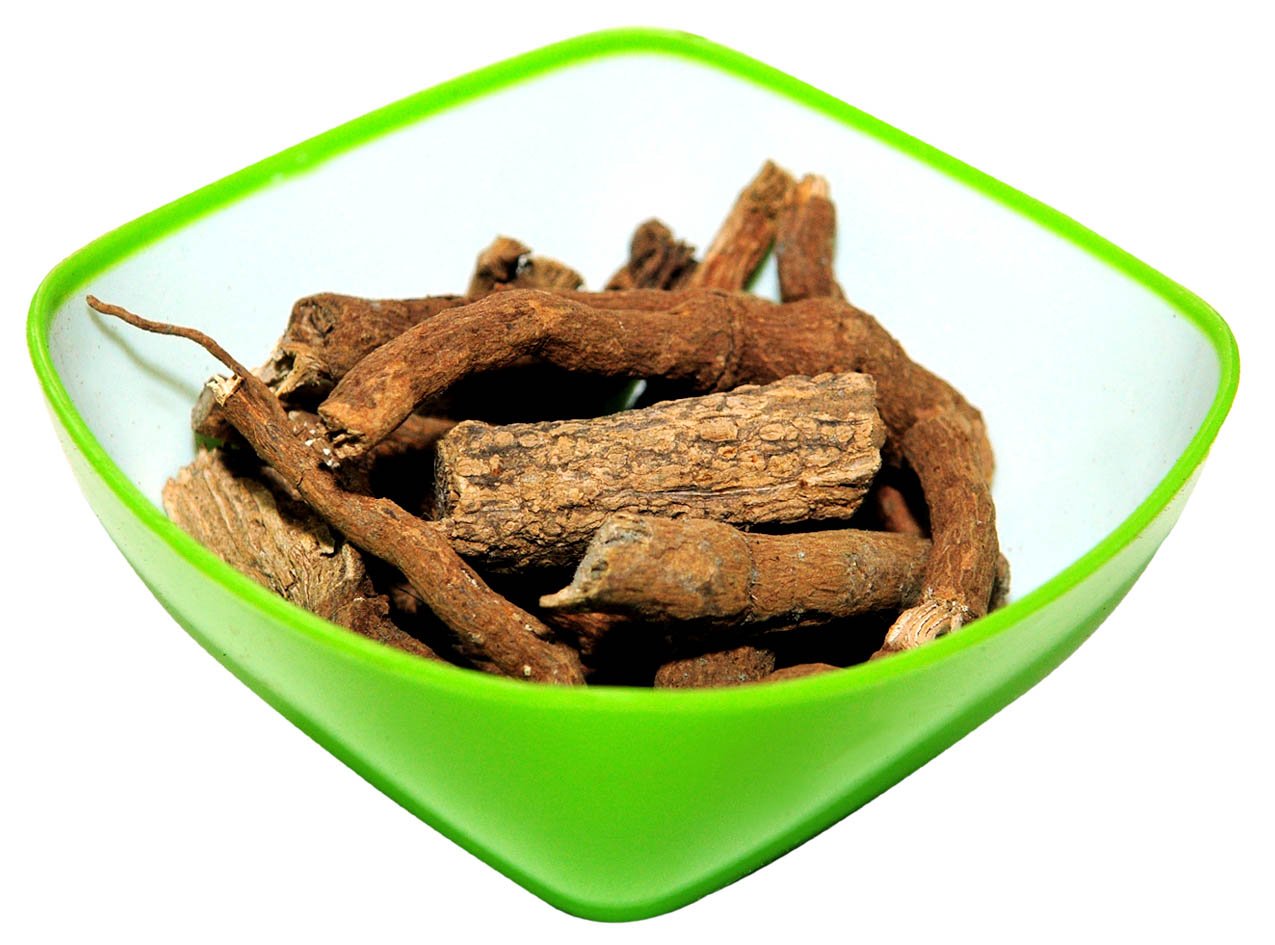 Indian Birthwort (Ishwara Beru) : Herbs - Mangalore Spice