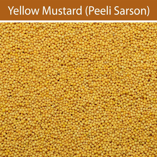 Yellow Mustard - Mangalore Spice