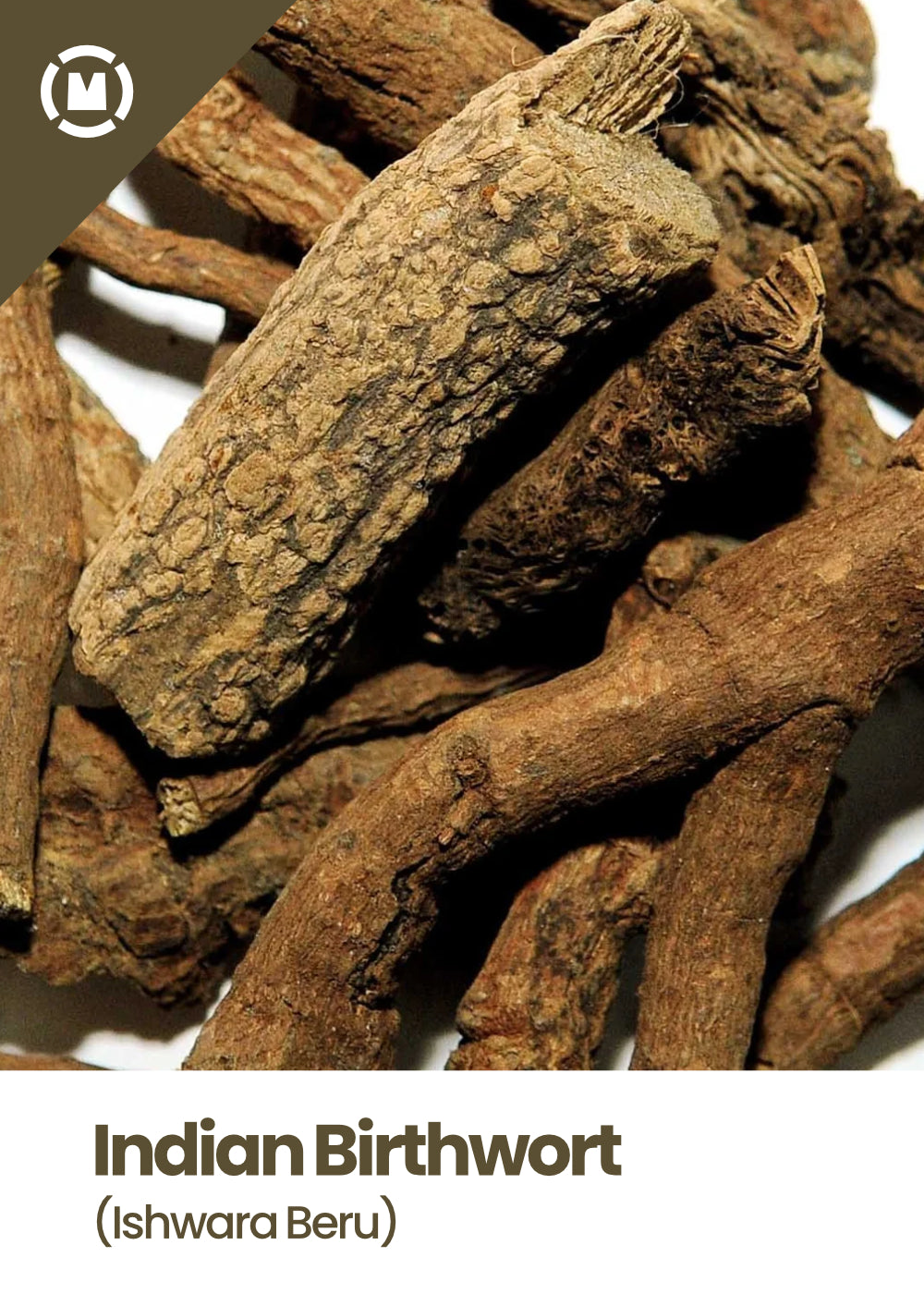Indian Birthwort (Ishwara Beru)