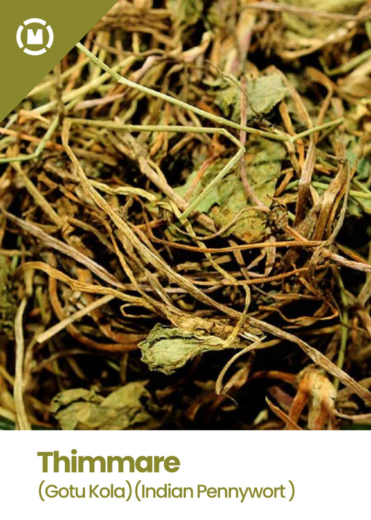 Indian Pennywort (Gotu Kola)