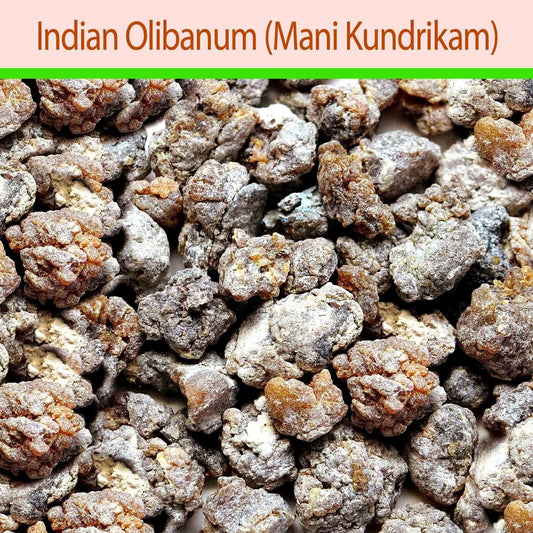 Mani Kundrikam (Indian Olibanum) : Aromatics - Mangalore Spice