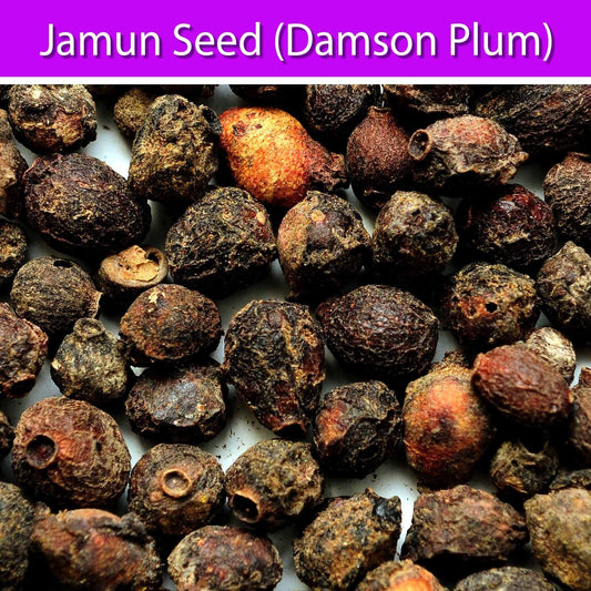 Jamun Seed : Herbs - Mangalore Spice