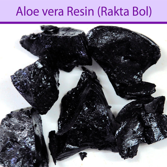 Aloe vera Resin (Rakta Bol) : Herbs - Mangalore Spice