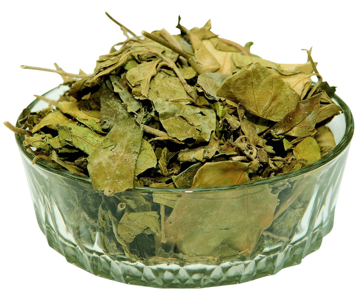 Gudmar : Herbs - Mangalore Spice