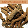 Indian Birthwort (Ishwara Beru) : Herbs - Mangalore Spice
