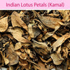 Indian Lotus Petals : Herbs - Mangalore Spice