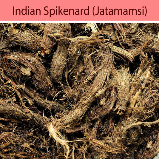 Jatamansi (Indian Spikenard) : Herbs - Mangalore Spice