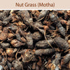 Nut Grass: Mustaka : Herbs - Mangalore Spice