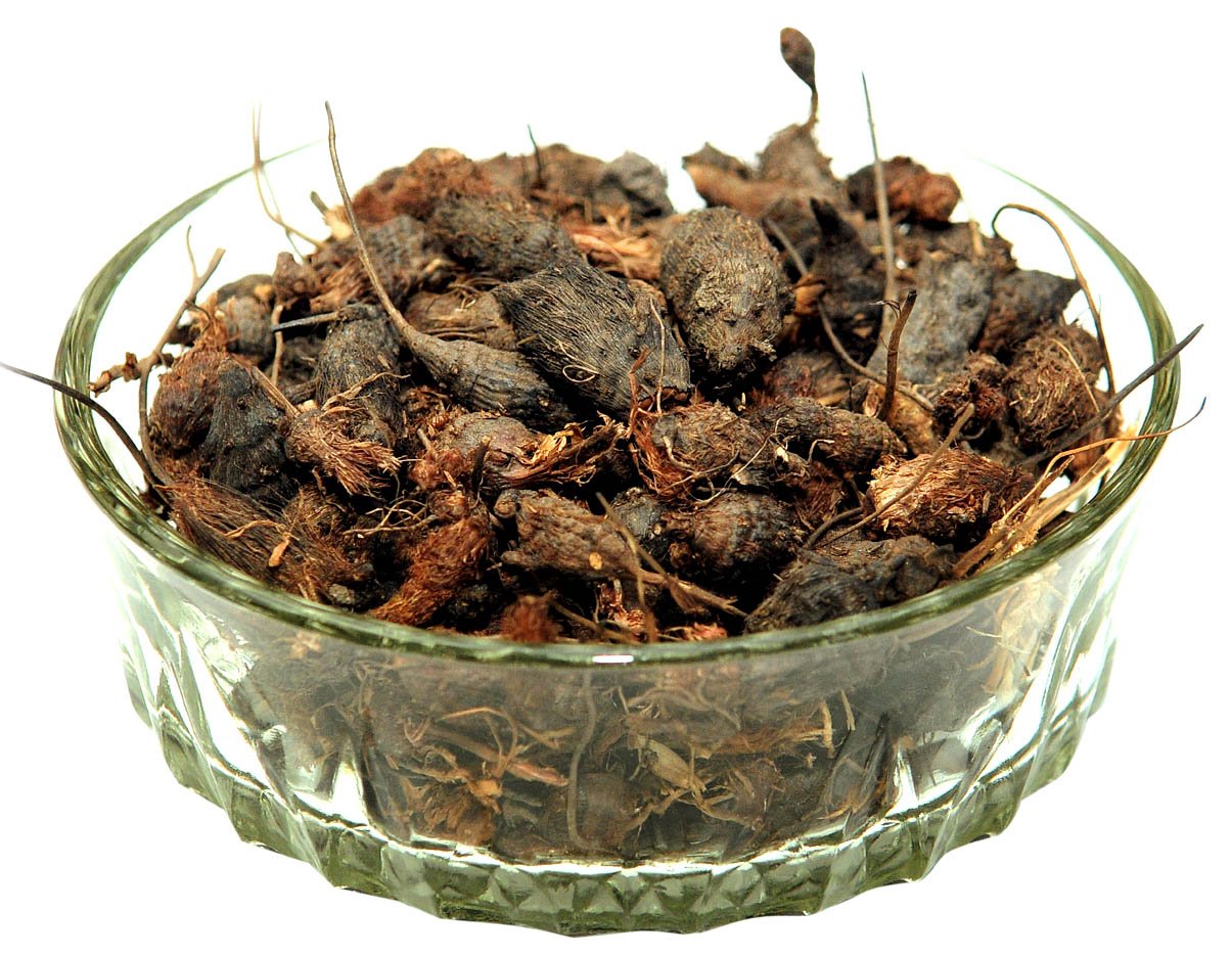 Nut Grass: Mustaka : Herbs - Mangalore Spice