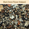 Black Stone Flower : Spices - Mangalore Spice