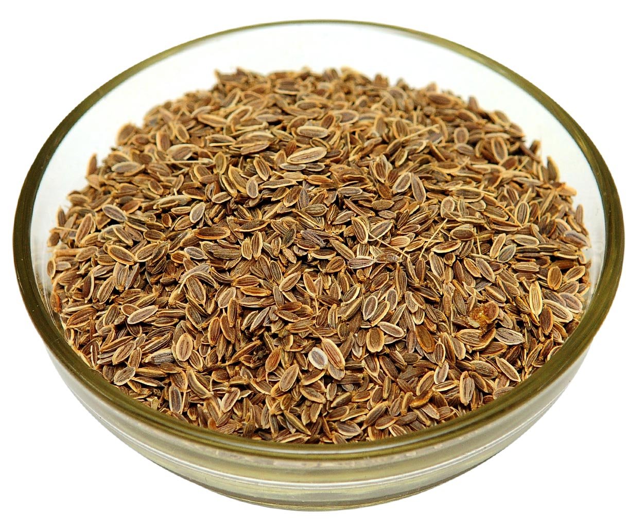 Dill Seeds : Spices - Mangalore Spice