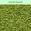 Fennel (Saunf) : Spices - Mangalore Spice