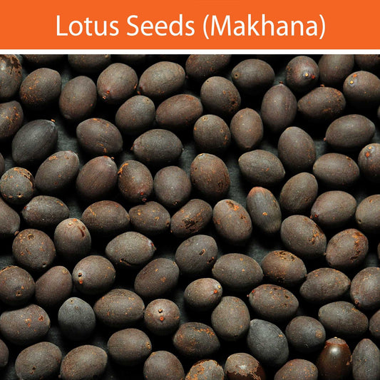 Lotus Seeds : Spices - Mangalore Spice