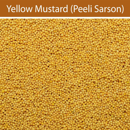 Yellow Mustard : Spices - Mangalore Spice